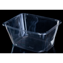 Fruits vegetables plastic transparent salad bowl